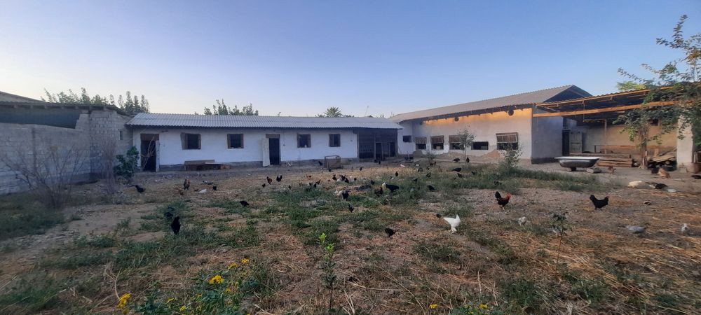 Срочно ферма участка сотилади