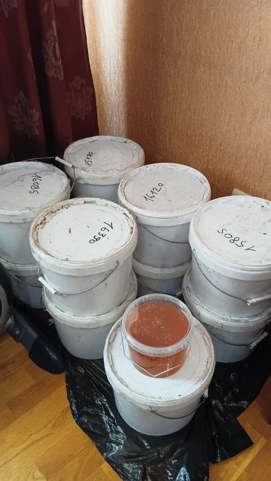 Продам мёд разнотравье