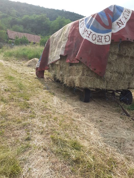 Vând baloți de fân