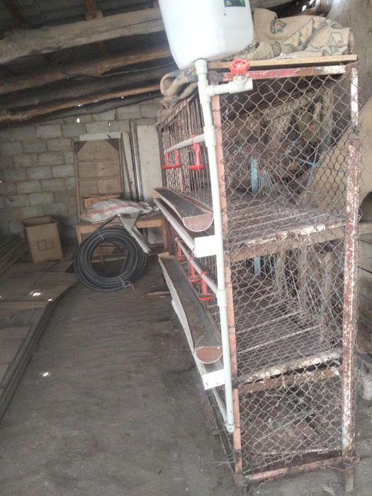 Сетка для куриц с поилкой