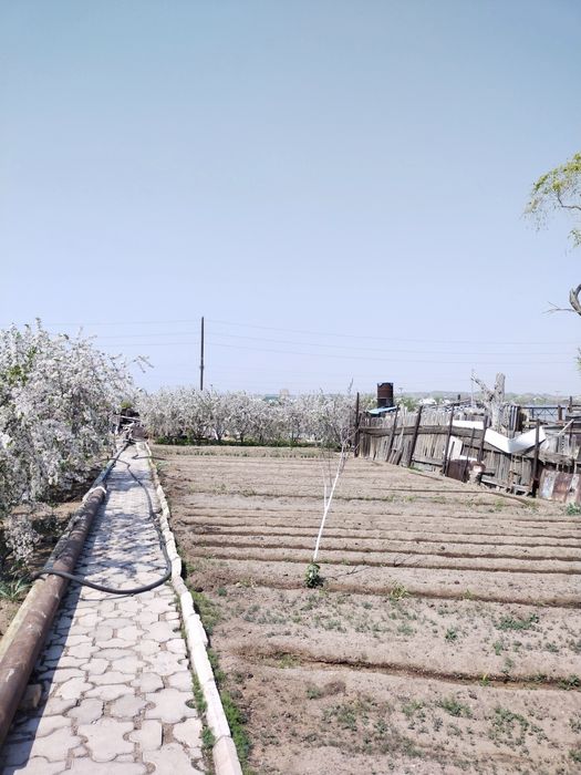 Продается дача 16,73 соток