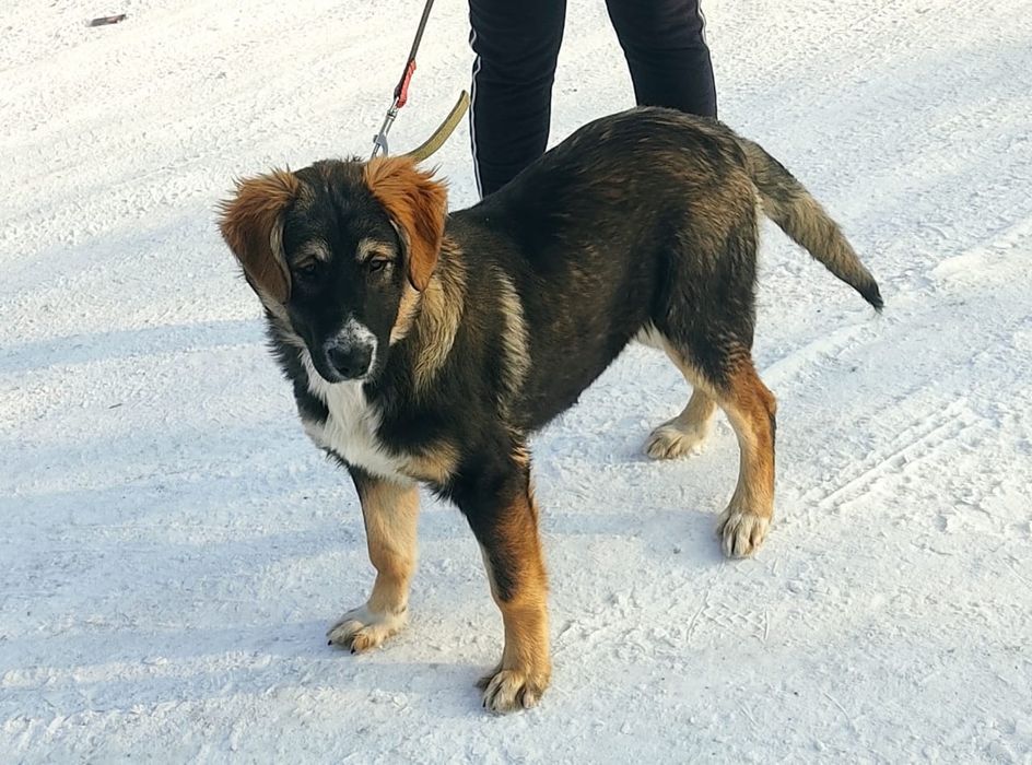 Помогите пожалуйста дом найти