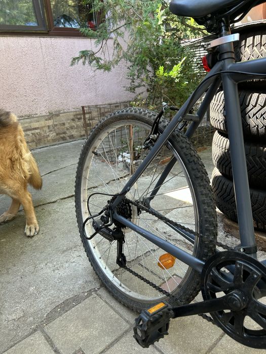 Bicicleta Rockrider 50 - lumini | cric