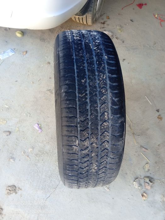 Clbalt 15 balon diska, kalpaklari bilan birga soyiladi