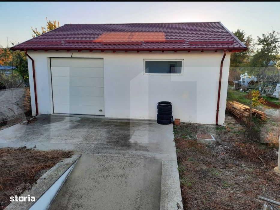 Casa+Spatiu Pentru Afacere/Locuit Iancu Jianu