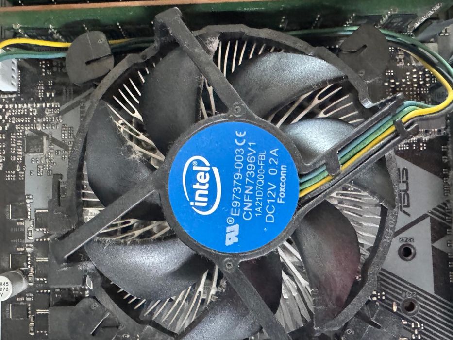 Asus prime b365m-k