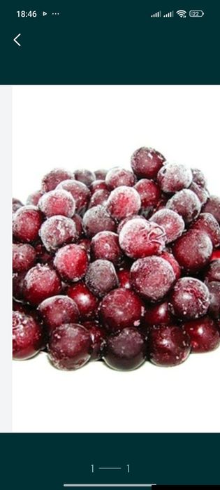 Продам вишню садовую