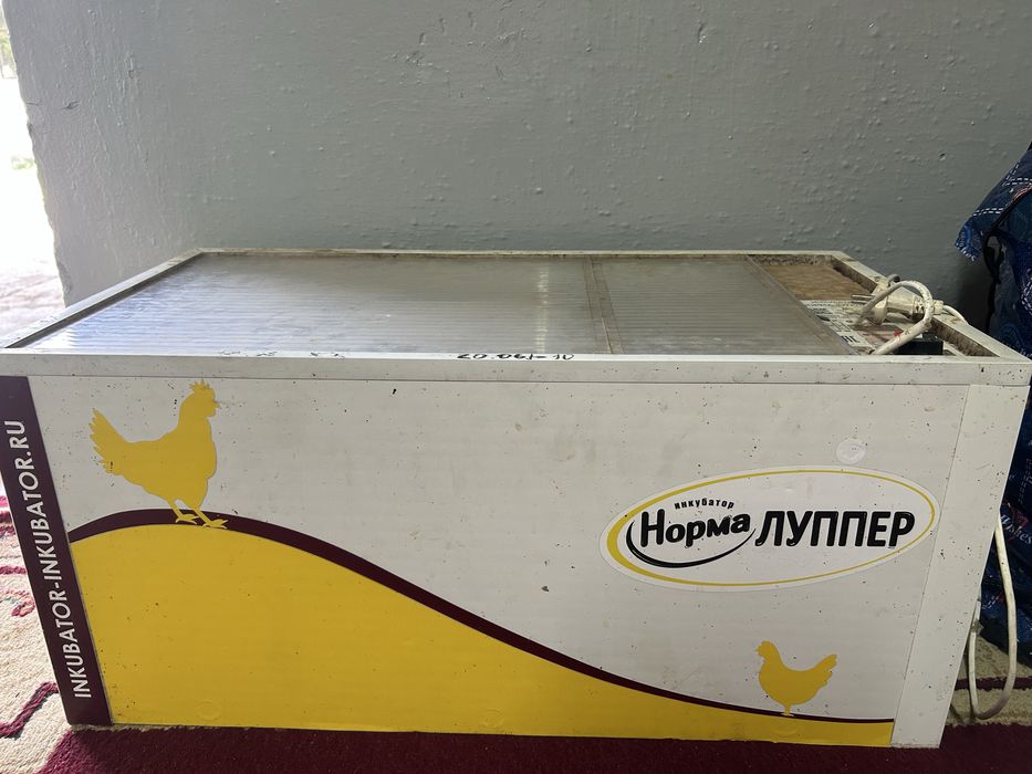 Норма луппер инкубатор