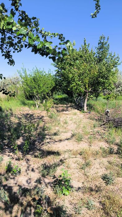 Продам дачу в Атырау, р-н Бугорки
