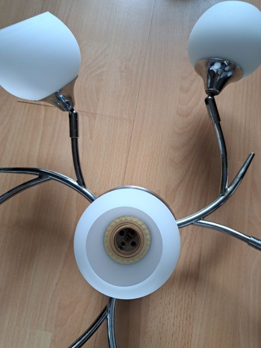 Полилей с 7 гнезда за 7 крушки