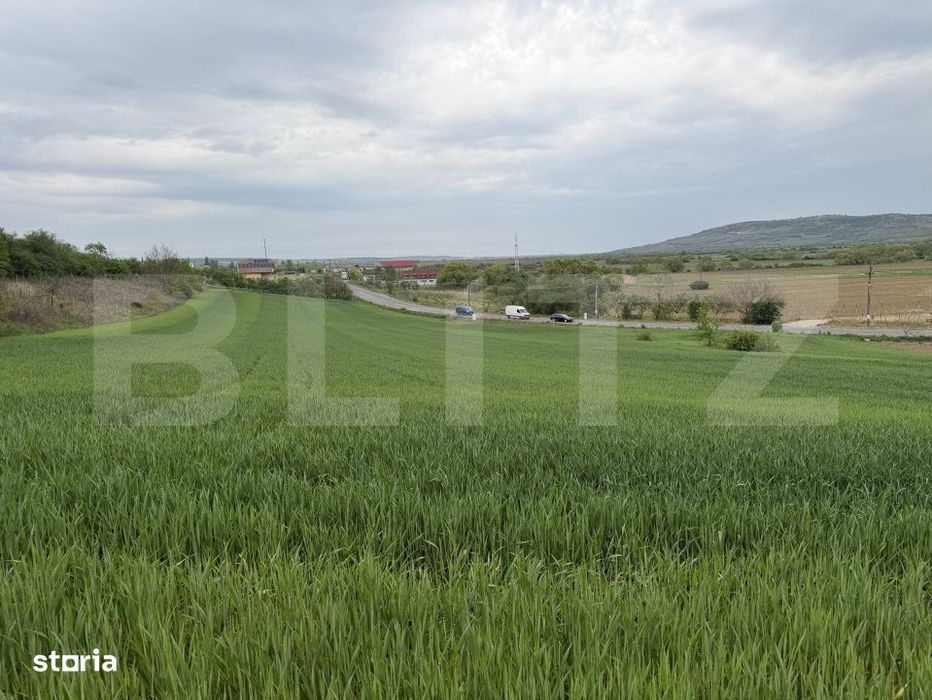 Teren intravilan in localitatea Bobota in suprafata de 12500 mp