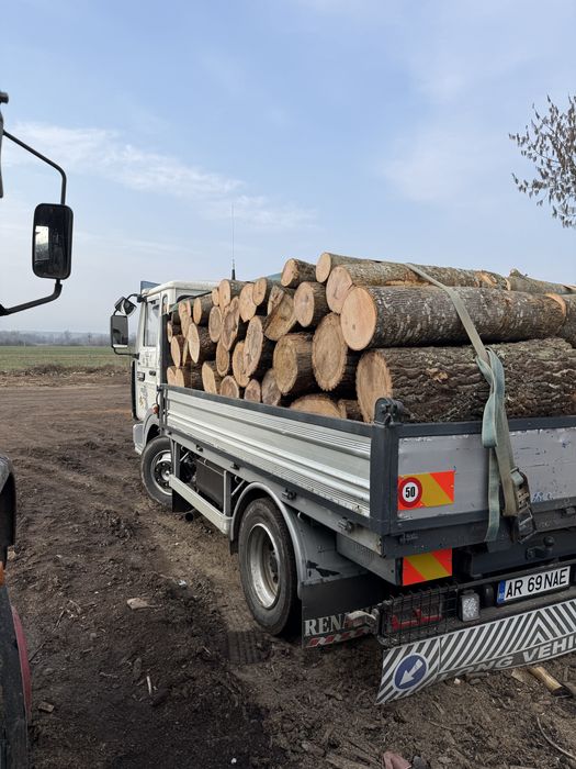 Lemne de foc esenta tare