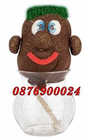 ПРОМО! Чичко Тревичко със саксийка СУПЕР ЦЕНА