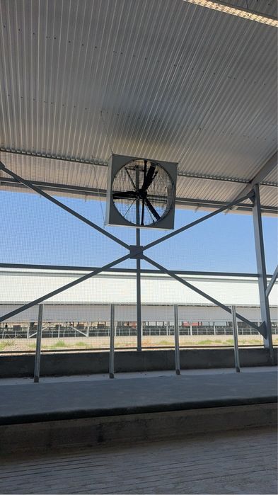 Коровник ангар ферма крс теплица