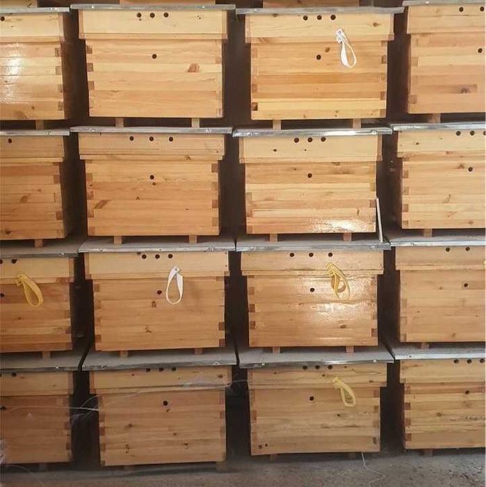 Асал ари ини, ящик для медоносных пчел. Asal ari qutisi, Asal ari oila