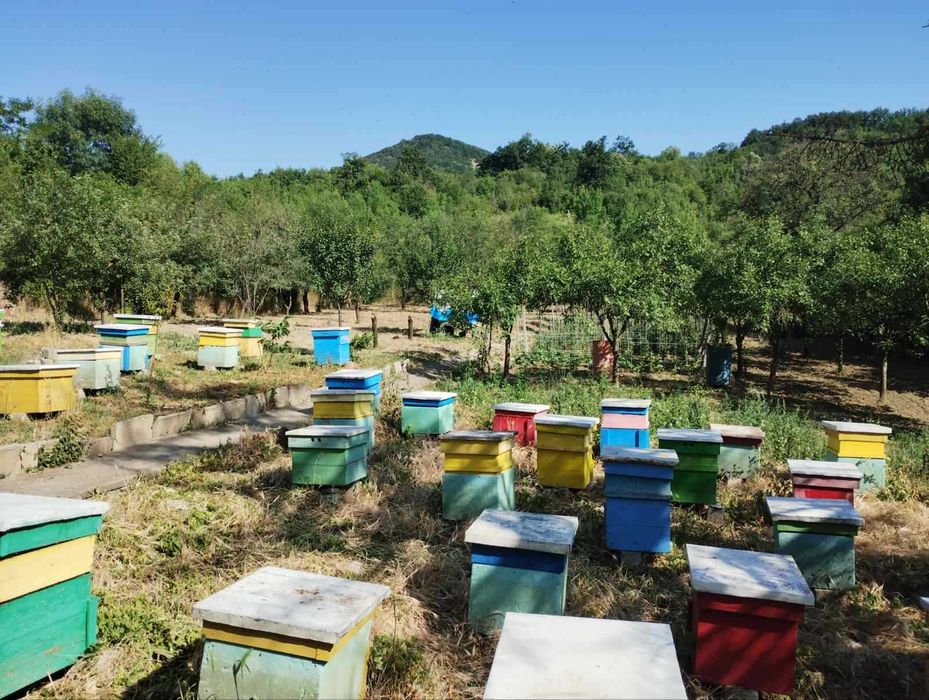 Продава се Къща в с. Ново Янково, Област Шумен - 40 кв.м за 638 €/кв.м - Снимка #2