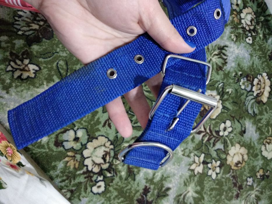 Ошейник для собак 500т.