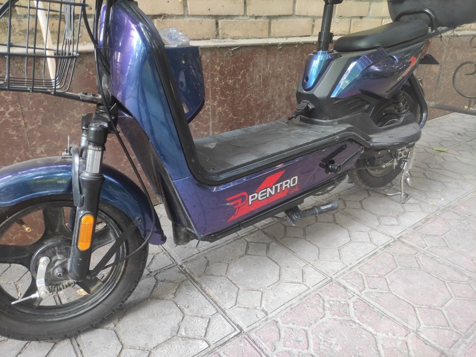 Sukutr hali 3 oy garantasi bor