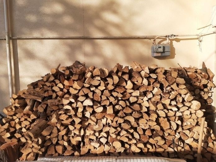 Утин курук мева дарахтники