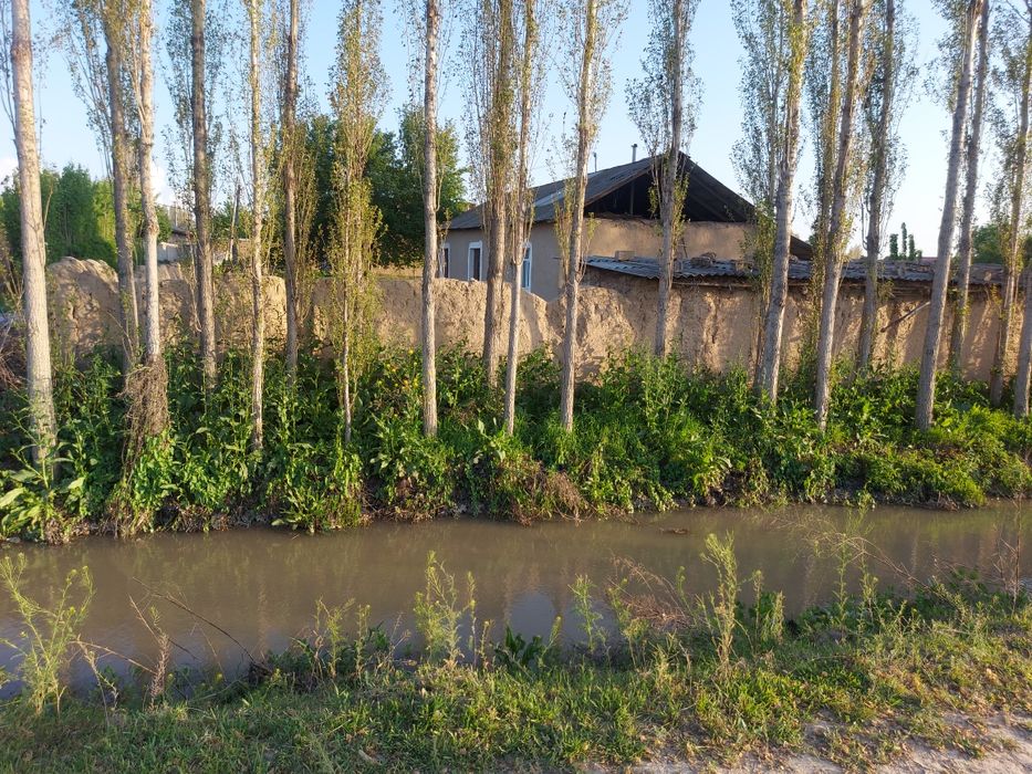 Уй сотилади, катта участка, ховли.