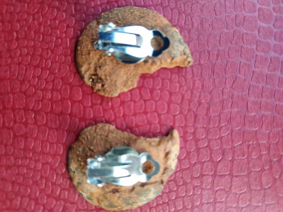 Брошка и обеци от естествени амонити-фосили, произход о. Мадагаскар