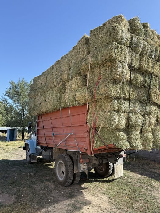 Сено разнотравия Люцерно