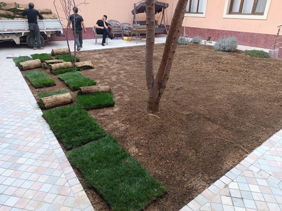 Gazon landshaft palif