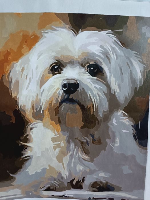 Tablouri pictate manual dupa tehnic picturii pe numere      pe pânza î