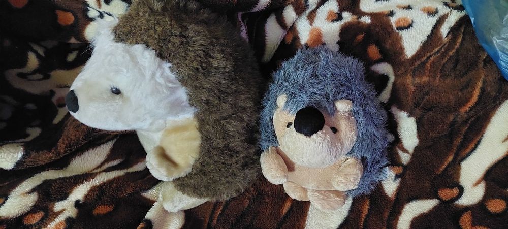 Ёжики, мягкая игрушка 50000за пару