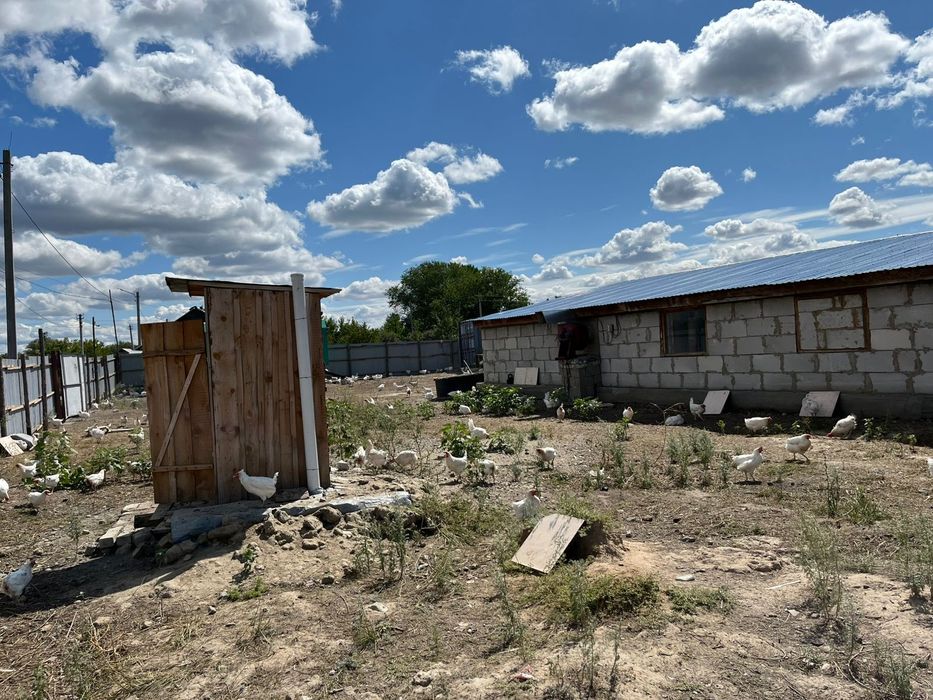 мини фабрика можно  как КХ