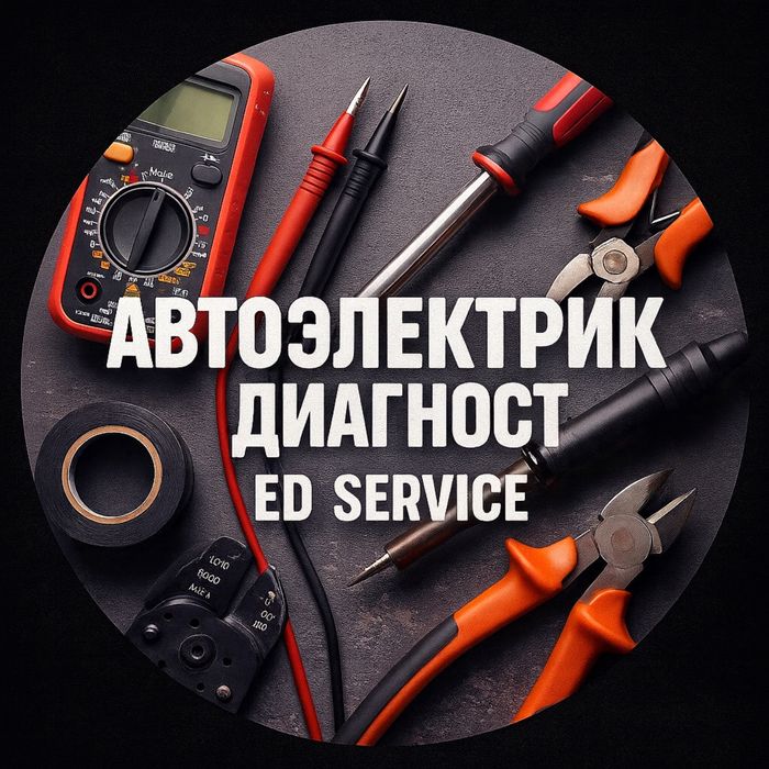 Диагност Элекрик на вызов