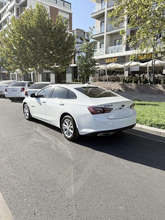 Malibu XL 2023 Tozza