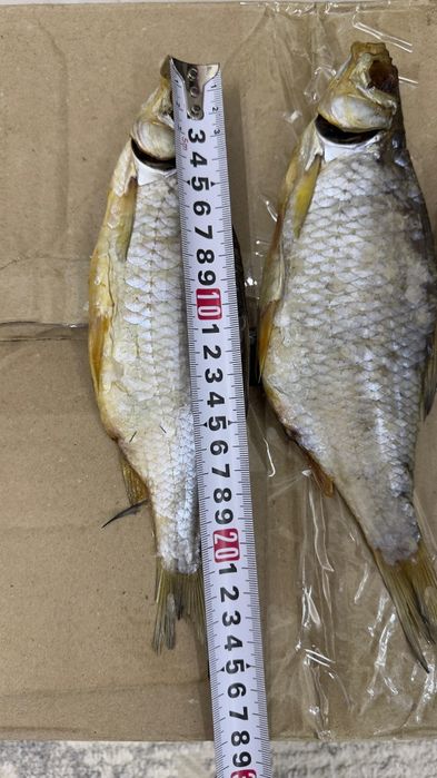 Вобла Каспийская (Атырау)