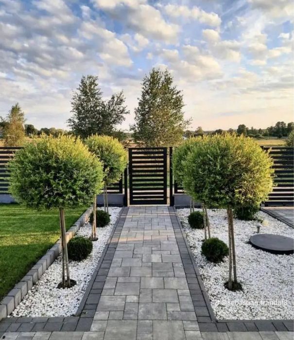 Piatra Ornamentala Peisagistica Curte Gradina (Bolovani Ornamentali)