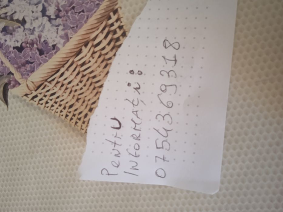 Ușă termopan gealan