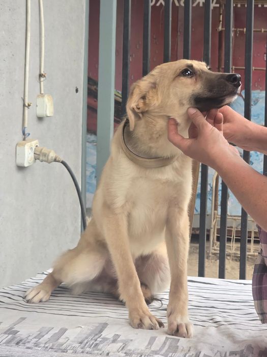 Май - ваш лучший друг ищет именно вас