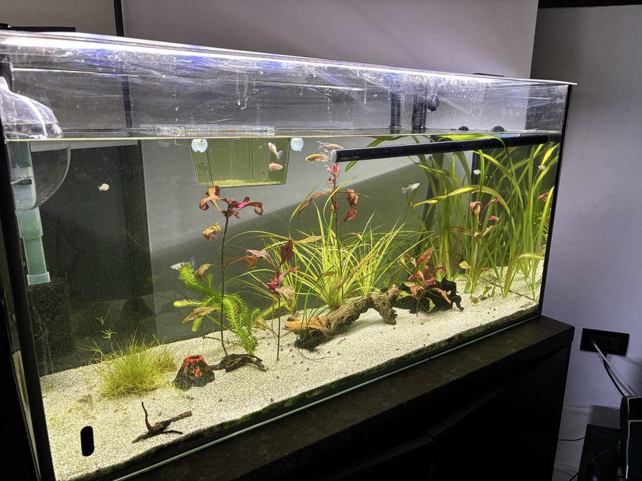 Vand acvariu 250l cu accesorii