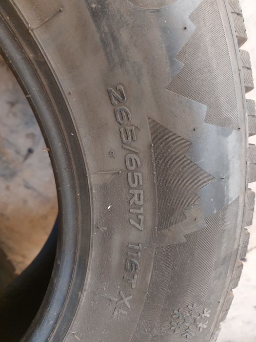 R17 265,65 Зимний шипи