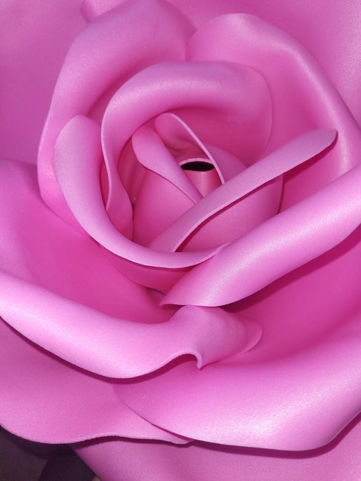 Ростовые цветы, светильники