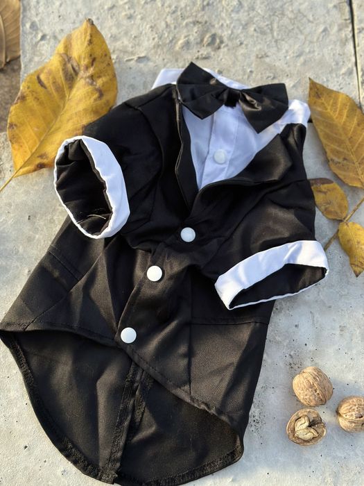 Фрак, смокинг для собак