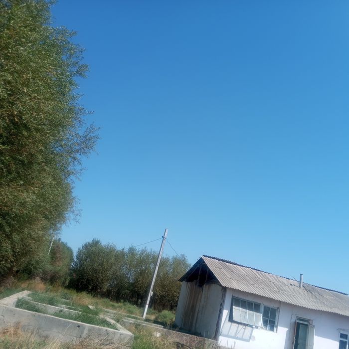 Uchastka ,uy sotiladi.Yashashga 3xona uy,oshxona,molxona ,