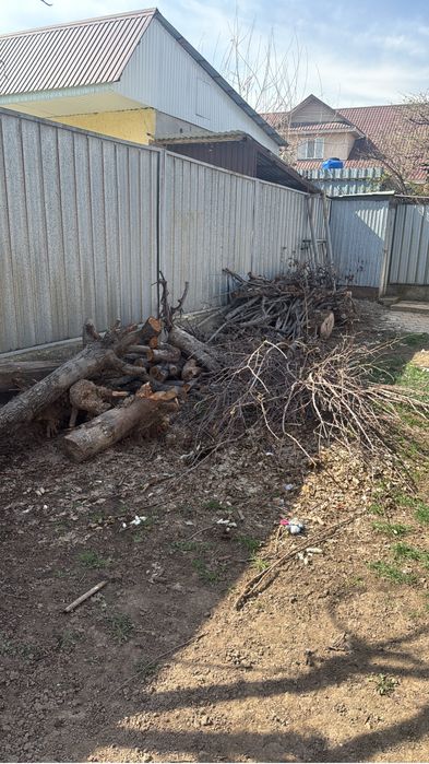 Отдам даром дрова самовывовоз