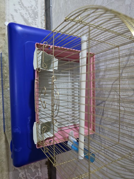 Клетка для птичек (попугай, канарейка)