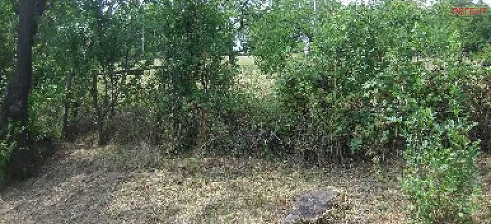 Парцел-Петкова нива-3200м²