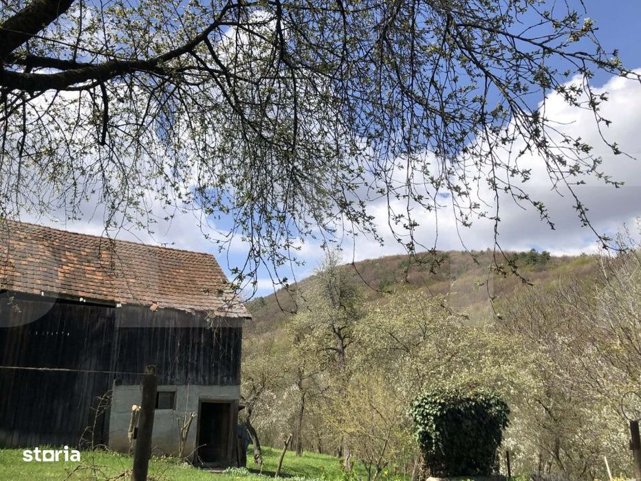 Casa rustica cu livada in Zalan, com. Bodoc, jud. Covasna