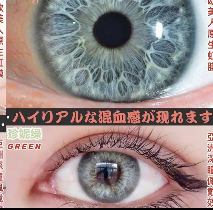 Хит цена Цветни лещи Едногодишни