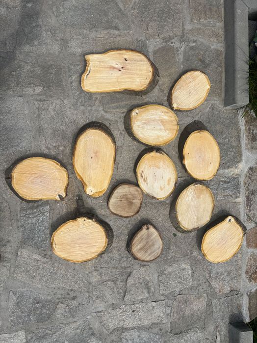 Шайби от орех различни размери