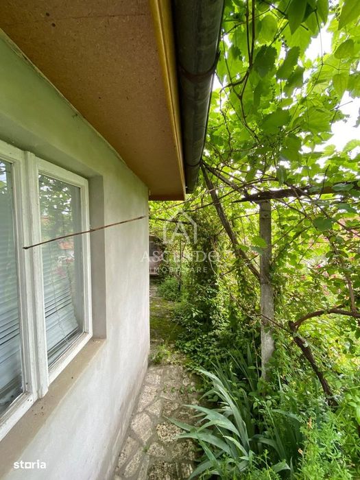 Domeniu 15.900 mp în Fințești | Casă + Investiție Dealu Mare