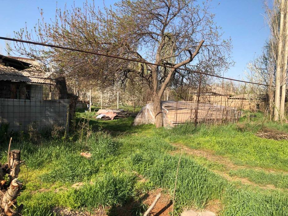 Yer sotiladi toytepada , dacha 25sotx