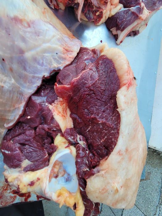 Жылқы еті, қазы, жал жайа